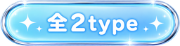 全2type